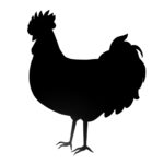 木鶏の喩えは言霊と向き合う方法を示唆している